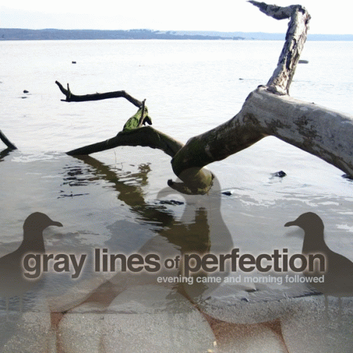 Gray Lines Of Perfection : Evening Came and Morning Followed